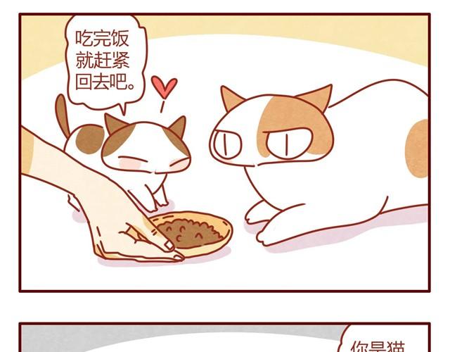 第4话 到底是什么物种？22