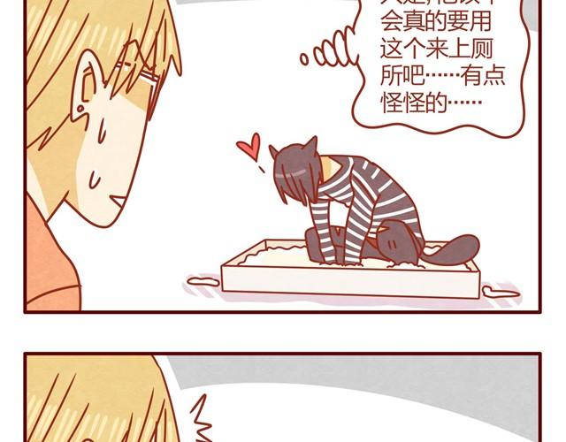 第5话 猫咪与猫砂23