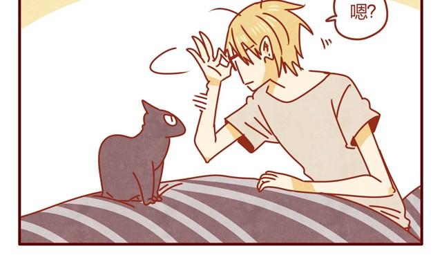 第3话 我的猫哪去了？7