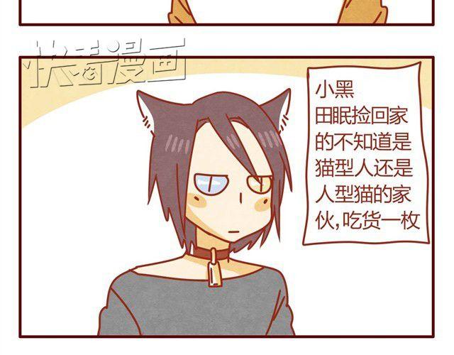 第5话 猫咪与猫砂5