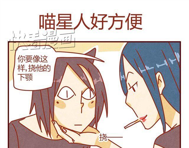 第7话 果然，猫对这玩意没有抵抗力4