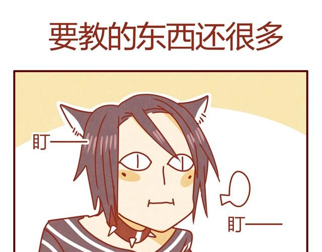 第5话 猫咪与猫砂26