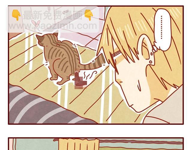 第3话 我的猫哪去了？10