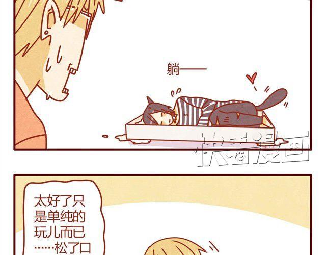 第5话 猫咪与猫砂24