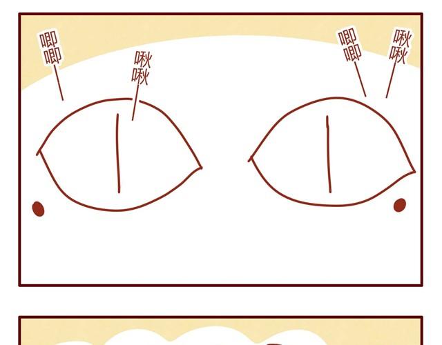 第7话 果然，猫对这玩意没有抵抗力12