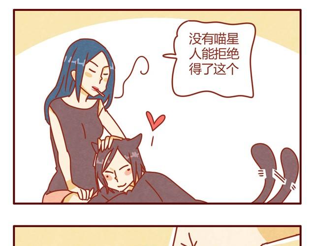 第7话 果然，猫对这玩意没有抵抗力6