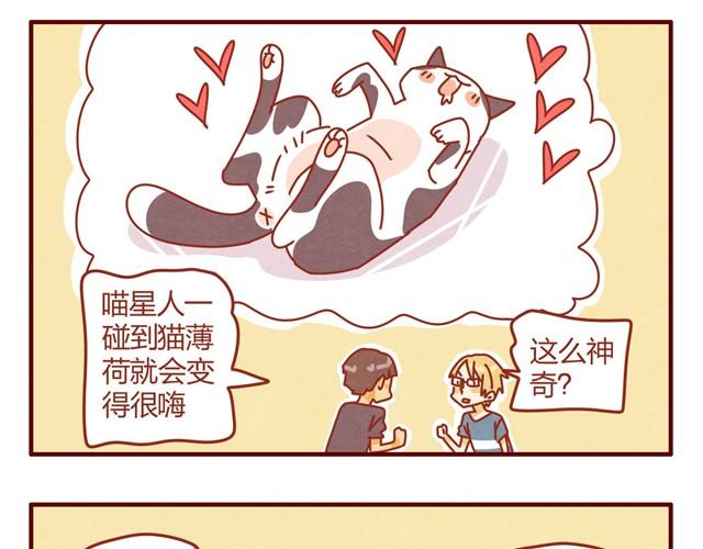 第7话 果然，猫对这玩意没有抵抗力20