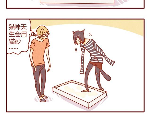 第5话 猫咪与猫砂21