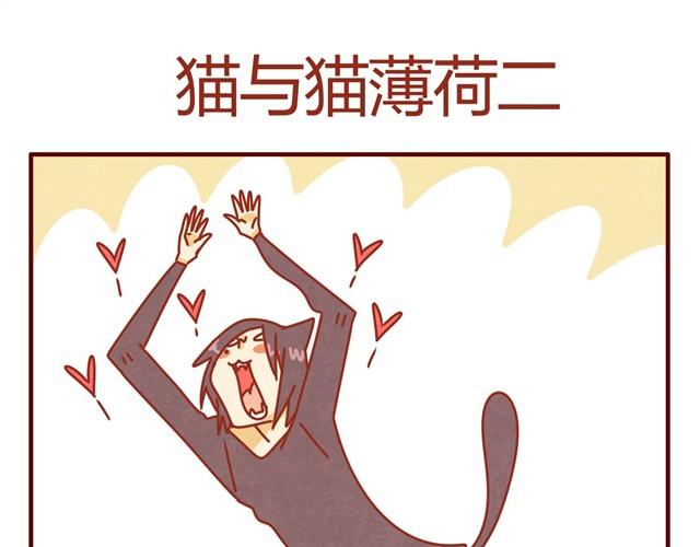 第7话 果然，猫对这玩意没有抵抗力26