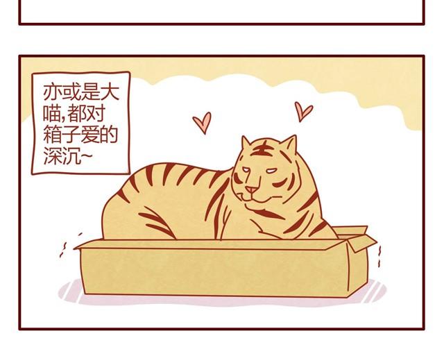 第6话 人形了不起啊！4