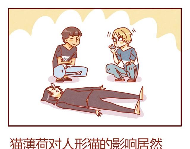 第8话 最喜欢晒太阳了喵~2