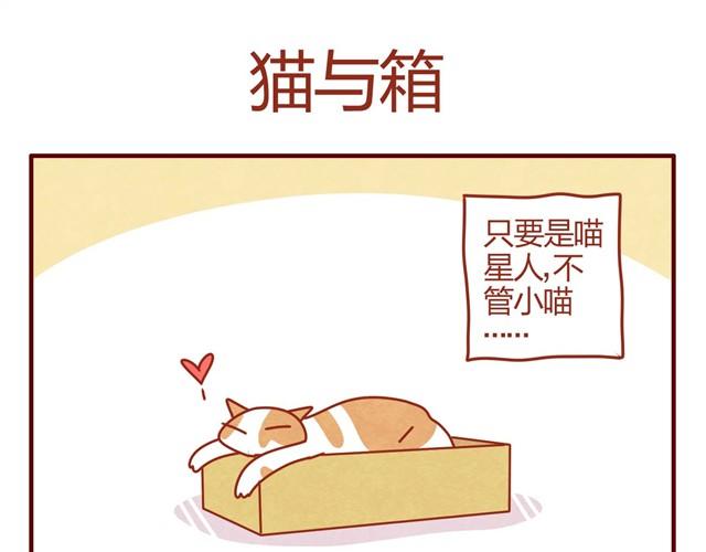 第6话 人形了不起啊！3