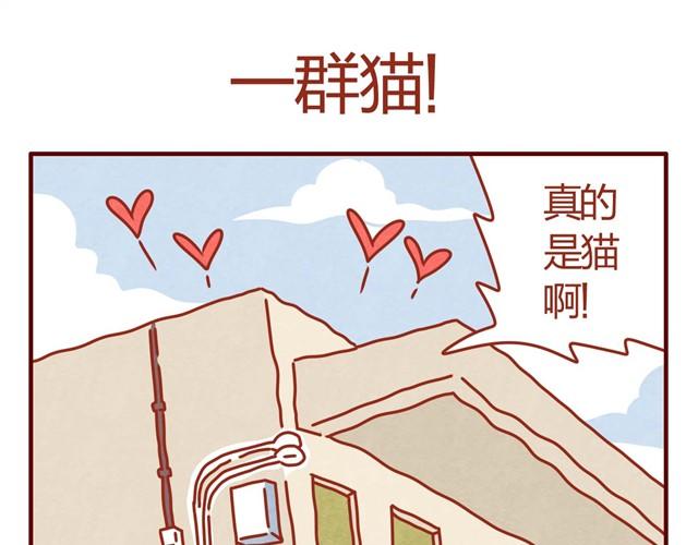 第3话 我的猫哪去了？8