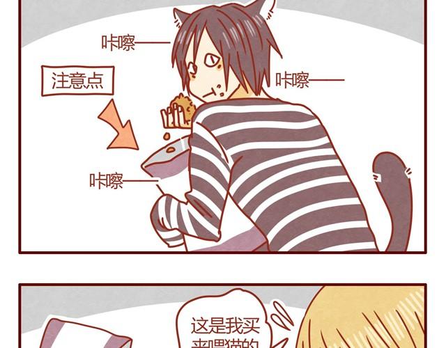 第3话 我的猫哪去了？15