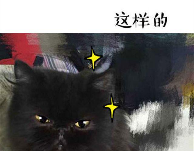 一只喵的自拍10