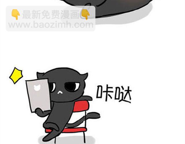 一只喵的自拍3