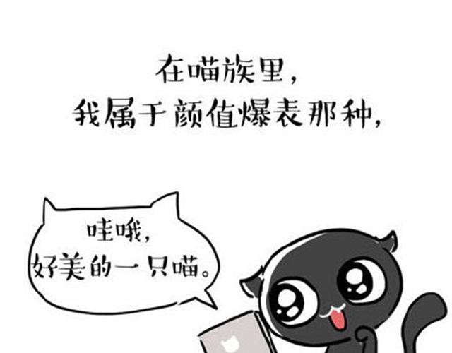 一只喵的自拍14
