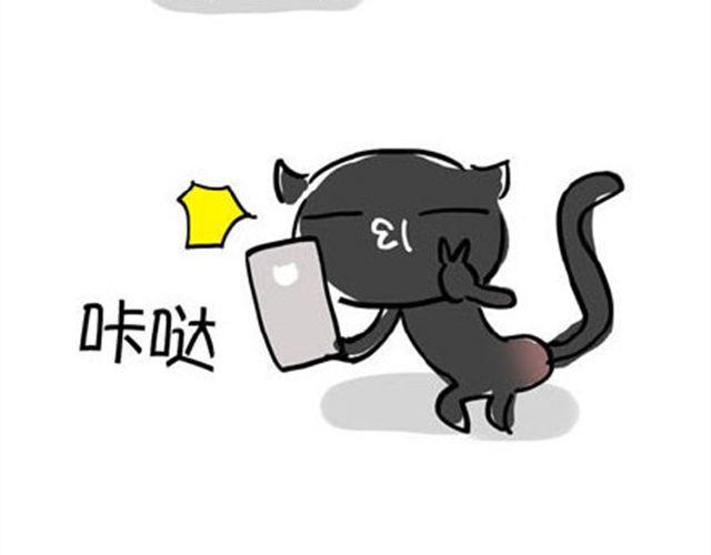 一只喵的自拍4
