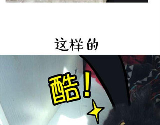 一只喵的自拍8