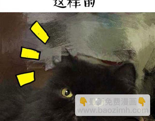 一只喵的自拍12