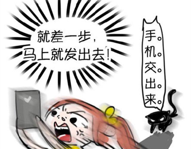 一只喵的自拍29