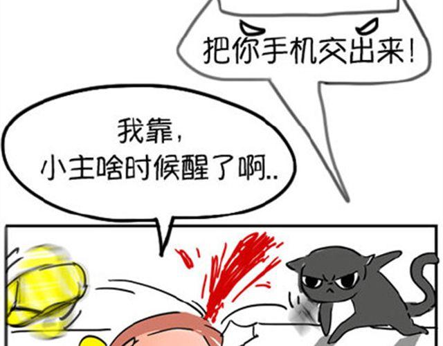 一只喵的自拍27