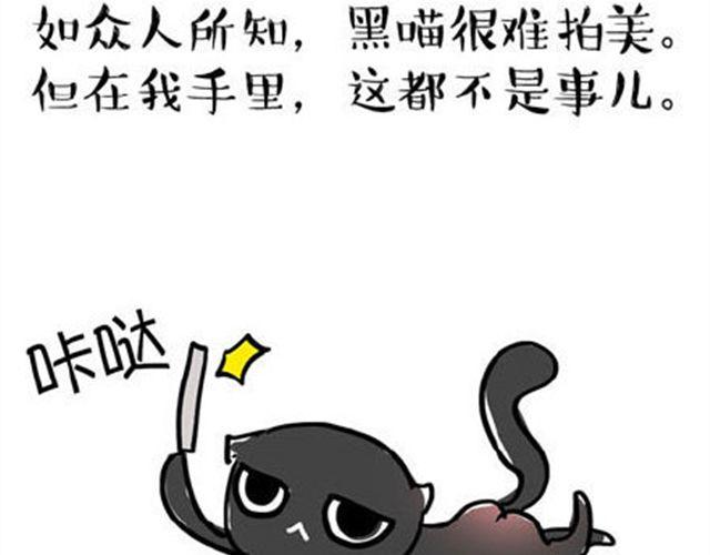 一只喵的自拍2