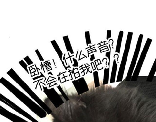 一只喵的自拍18