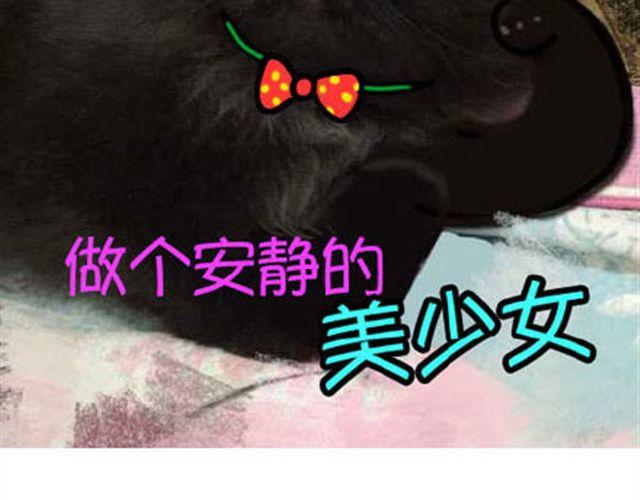 一只喵的自拍13