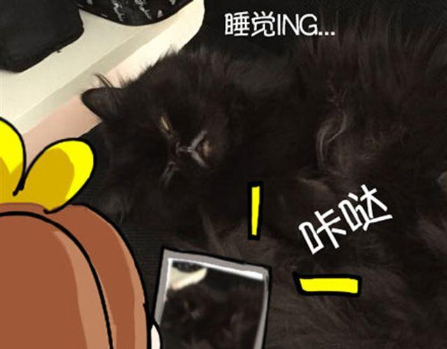 一只喵的自拍16