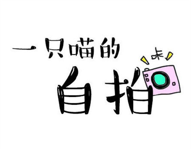 一只喵的自拍0