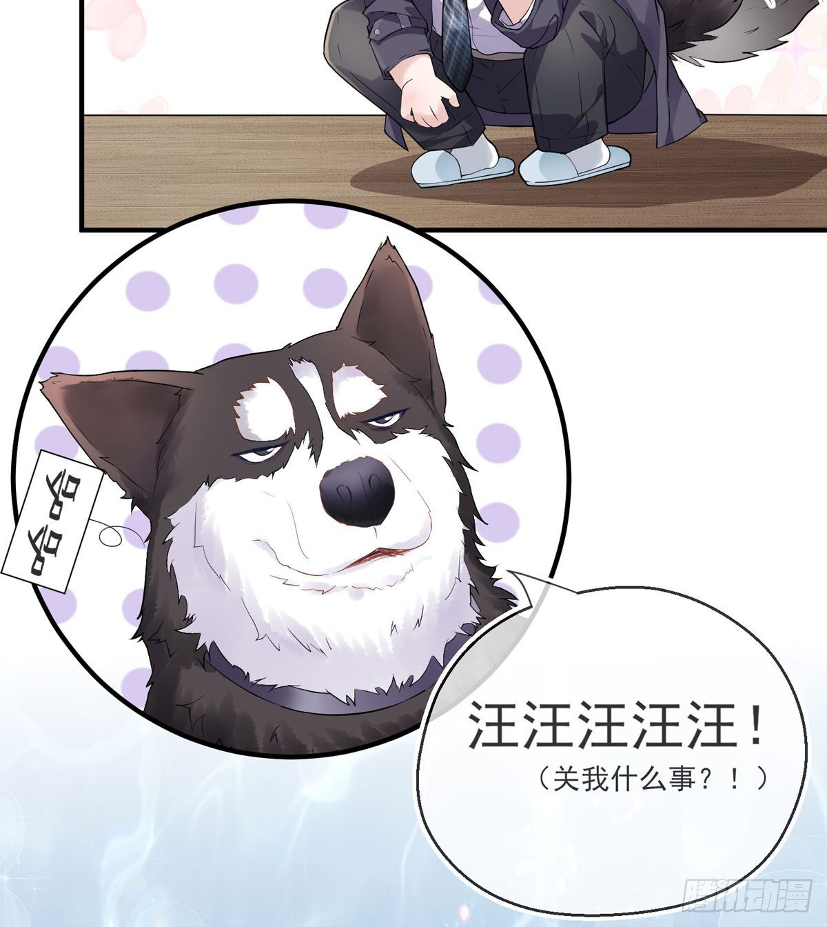 序章--霸道总裁的瓜，你吃不吃23
