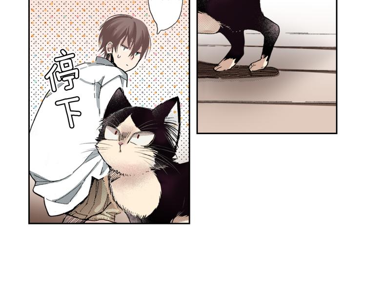 第8话 猫咪摸起来好舒服74