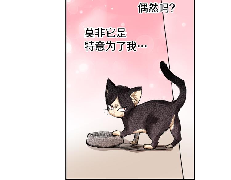 第2话 被猫咪担心了57