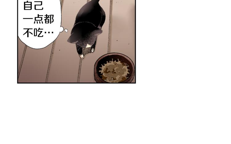 第3话 命运的邂逅？11