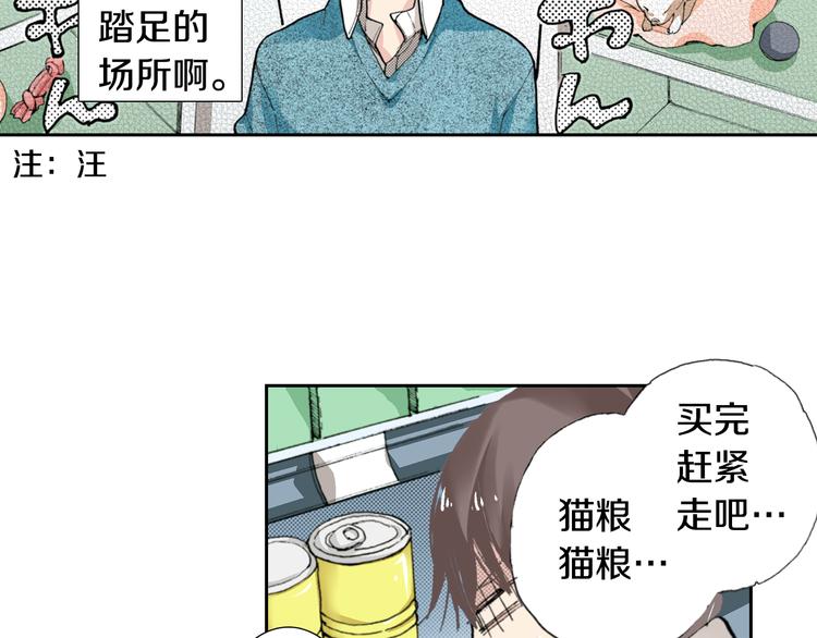 第4话 给猫咪起名36