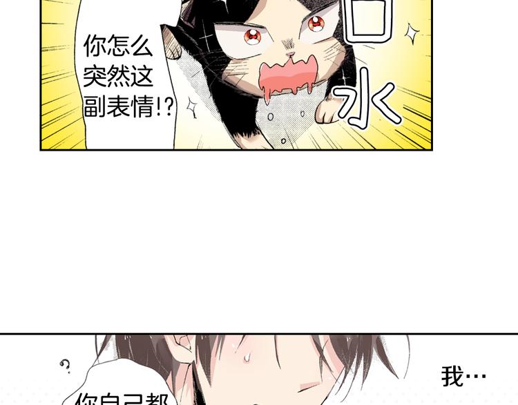 第2话 被猫咪担心了80