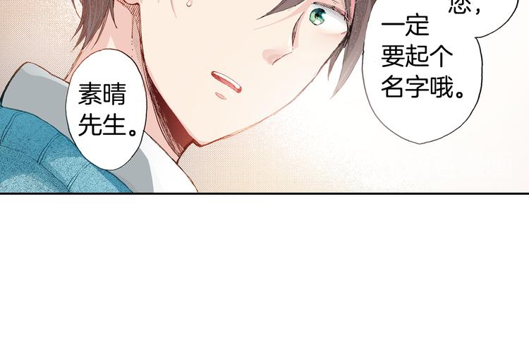 第4话 给猫咪起名66