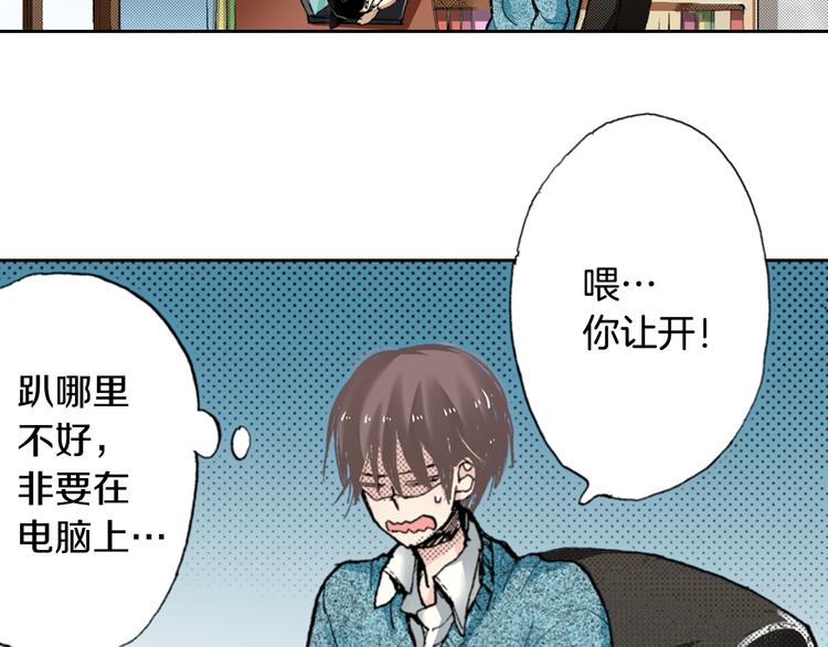 第4话 给猫咪起名8