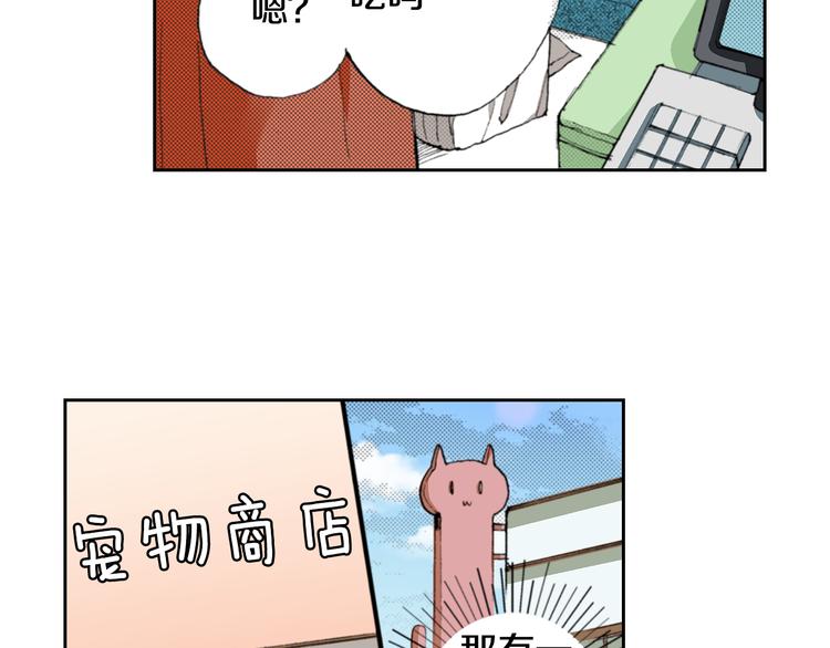 第4话 给猫咪起名32