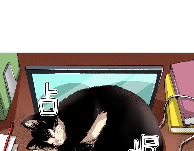 第4话 给猫咪起名6
