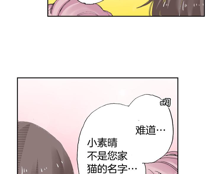 第4话 给猫咪起名56