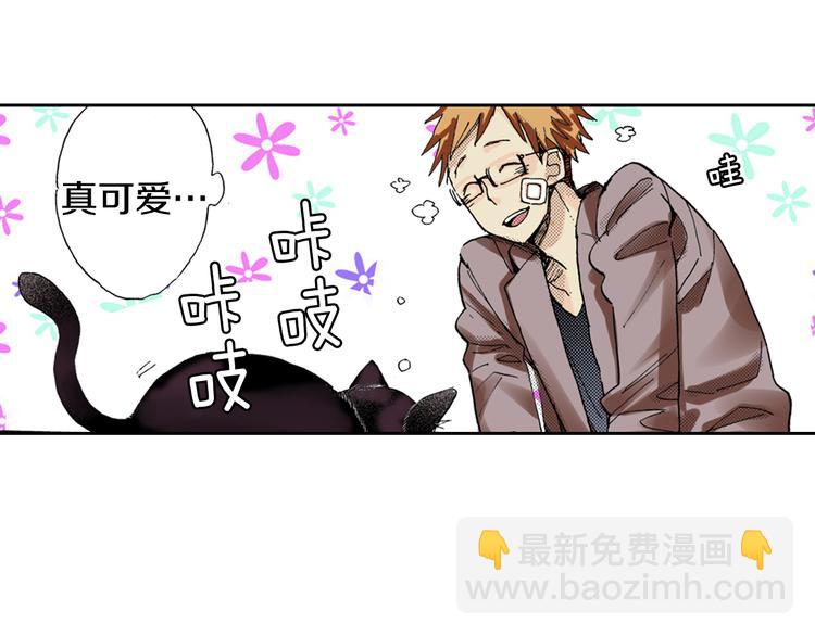 第7话 上门撸猫！87