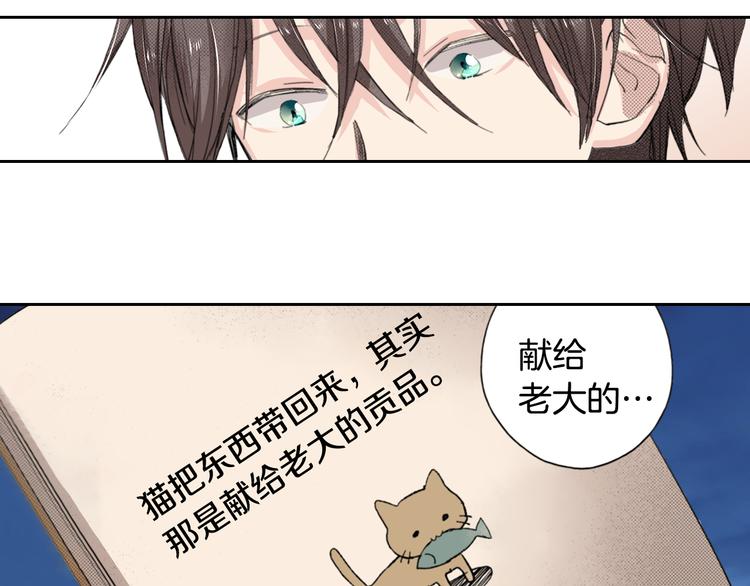 第2话 被猫咪担心了8
