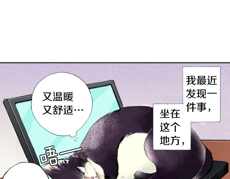 第6话 喵~我要吃饭饭4