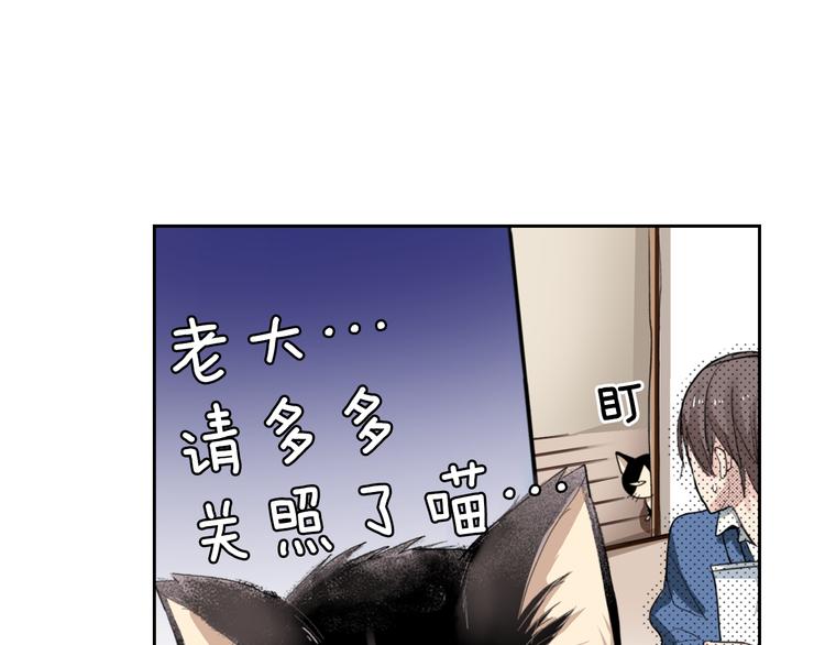 第2话 被猫咪担心了11