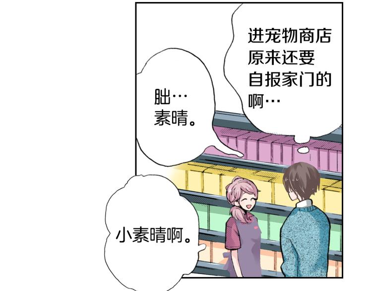 第4话 给猫咪起名44
