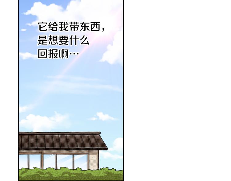 第2话 被猫咪担心了13