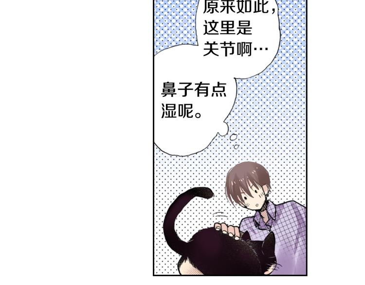 第8话 猫咪摸起来好舒服51