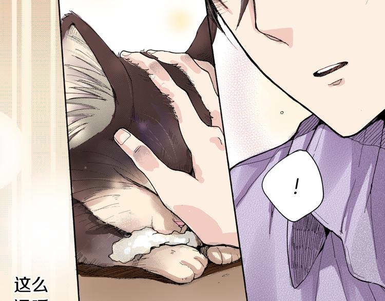 第8话 猫咪摸起来好舒服48